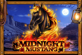 Midnight Mustang