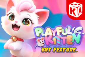Playful Kitten